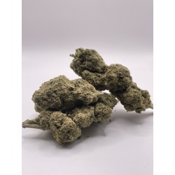 Hollande Haze ( HEC 5 )