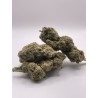 Hollande Haze ( HEC 5 )