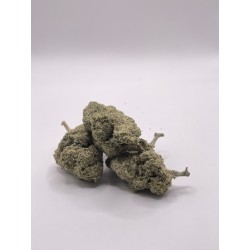 Rock and Berry ( CBN + )