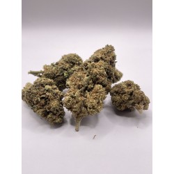 Gelato