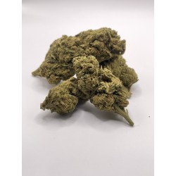 CANDY KUSH