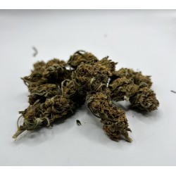 Blue Berry