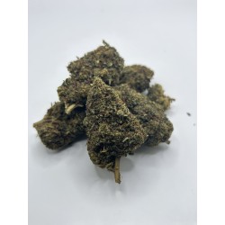 WHITE SHARK NL1