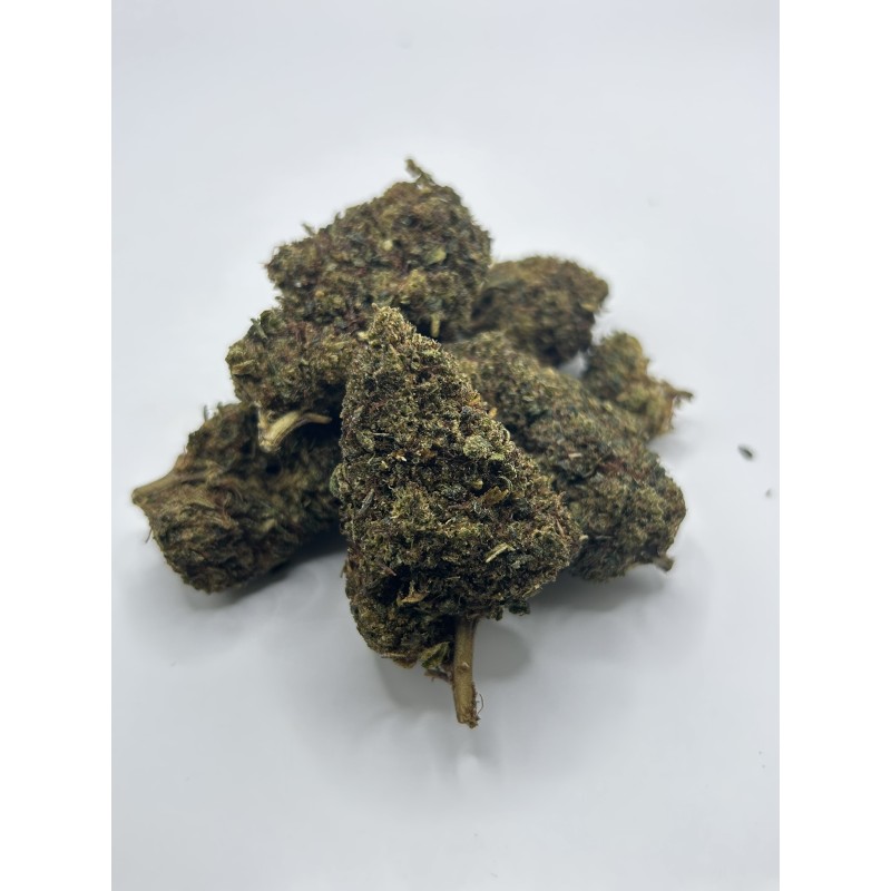 WHITE SHARK NL1