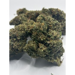 La Tropical Kiss