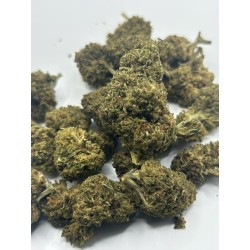 CRITICAL