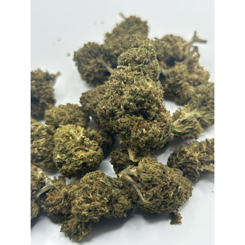 CRITICAL